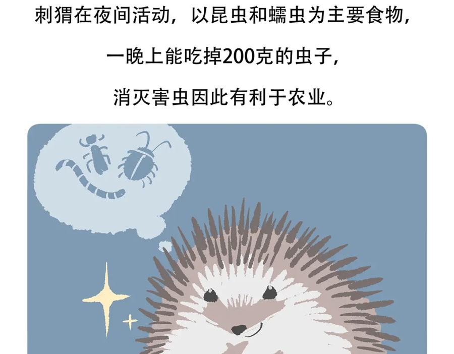 《胖达x胖达》第137话 第24页