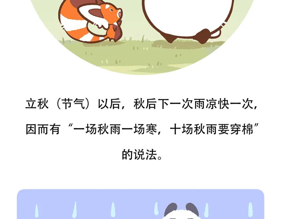 《胖达x胖达》第137话 第30页