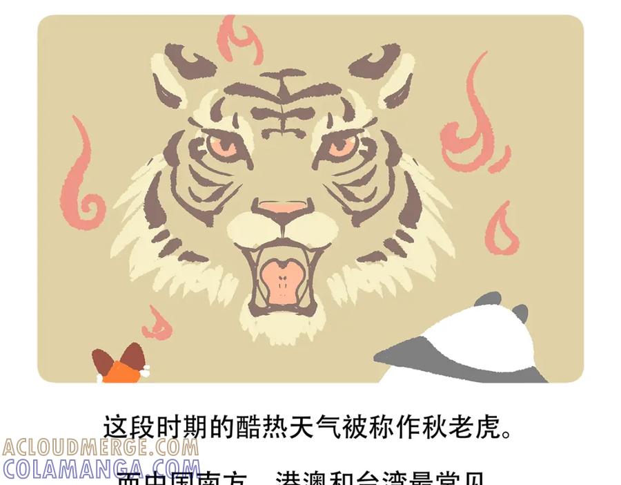 《胖达x胖达》第138话 第31页
