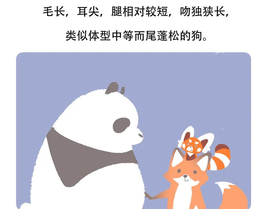 《胖达x胖达》第138话 第22页