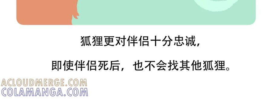 《胖达x胖达》第138话 第25页