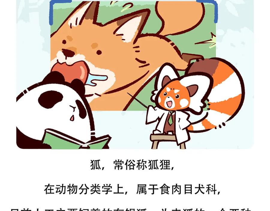 《胖达x胖达》第138话 第20页