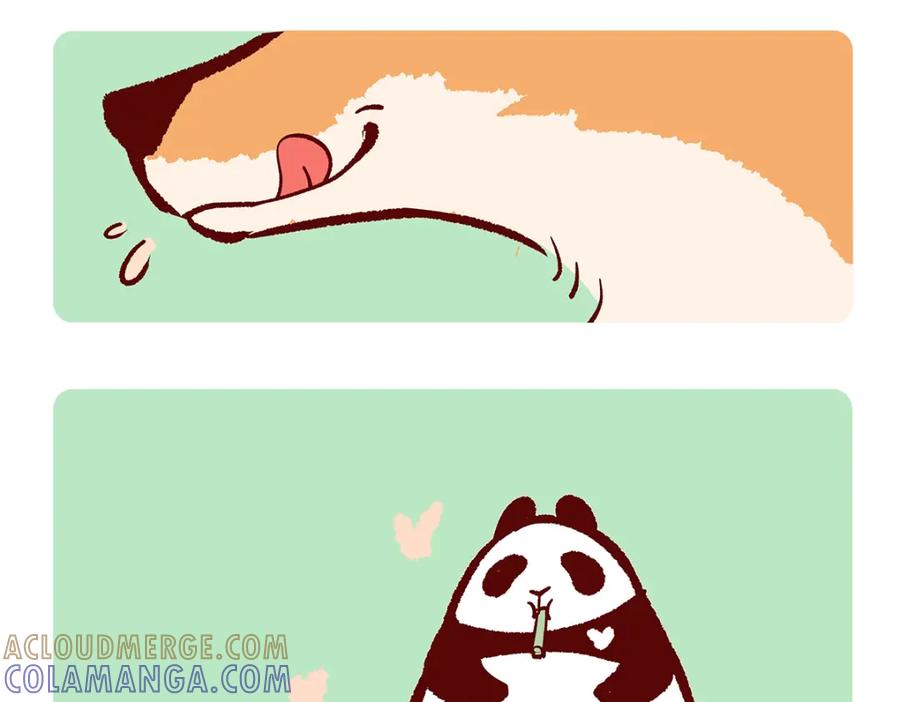 《胖达x胖达》第138话 第5页