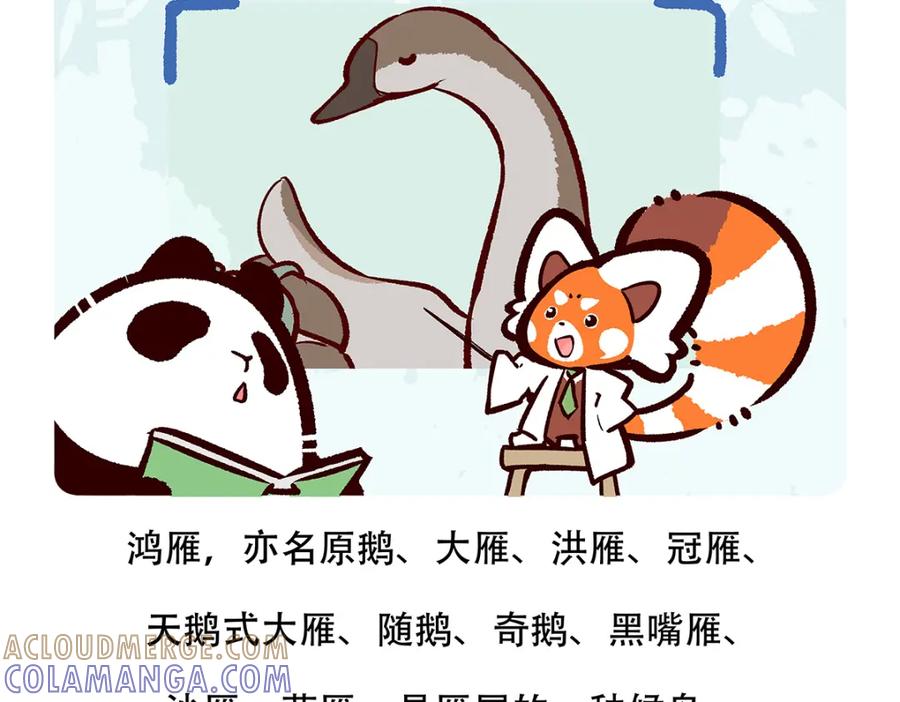《胖达x胖达》第139话 第21页