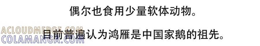 《胖达x胖达》第139话 第23页