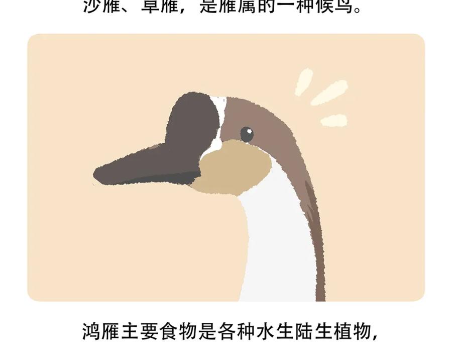 《胖达x胖达》第139话 第22页
