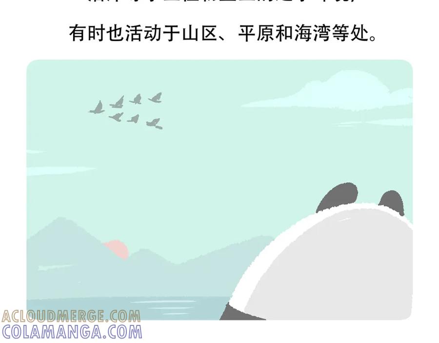 《胖达x胖达》第139话 第25页