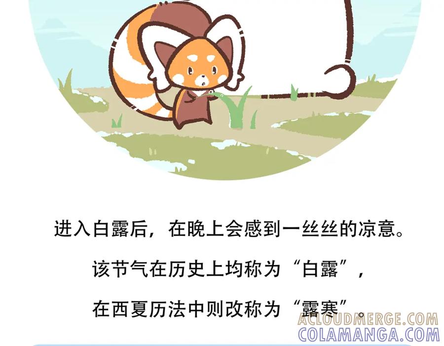 《胖达x胖达》第139话 第29页