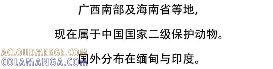 《胖达x胖达》第140话 第23页