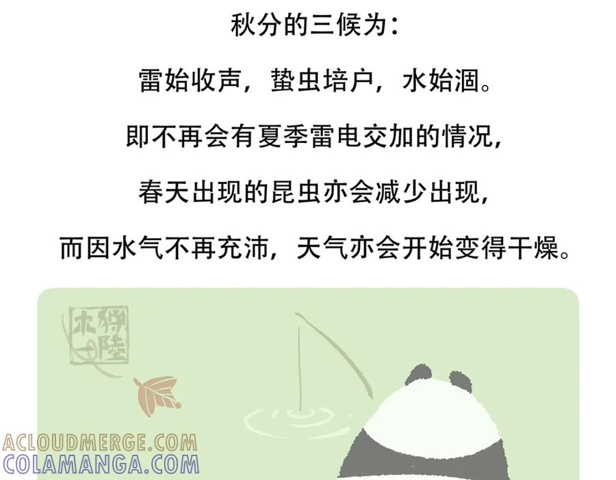 《胖达x胖达》第140话 第31页