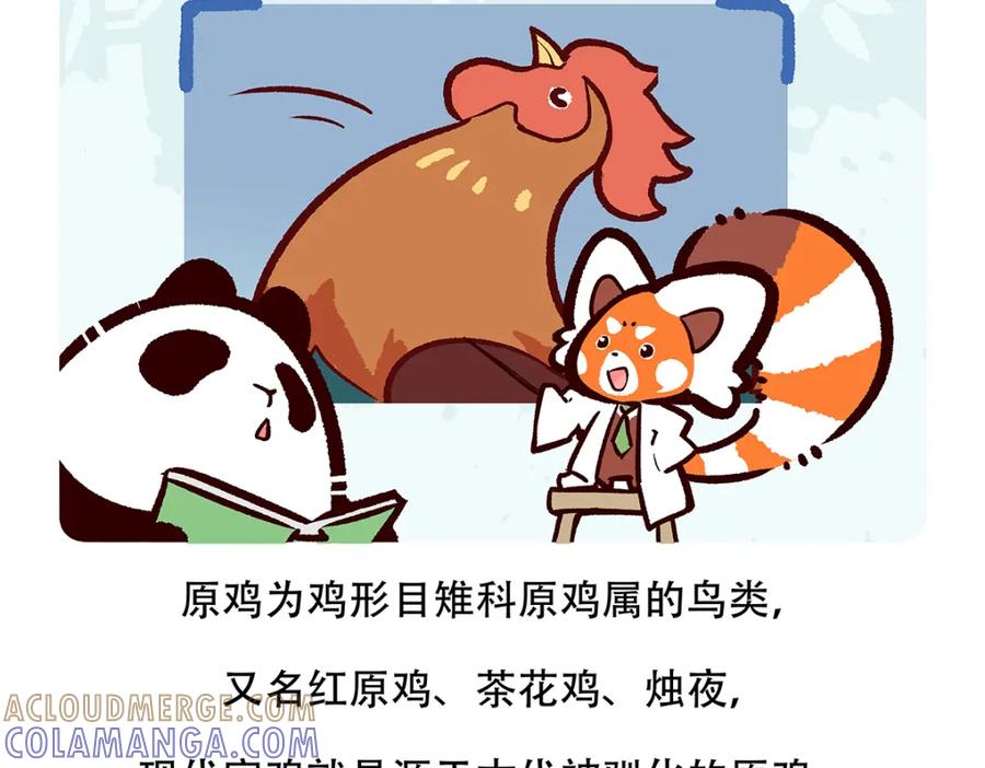 《胖达x胖达》第140话 第21页