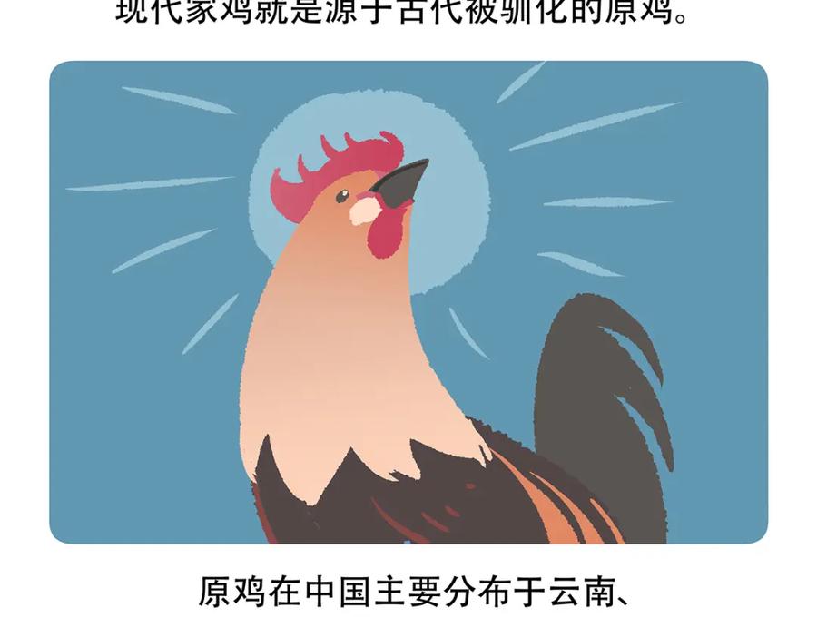 《胖达x胖达》第140话 第22页