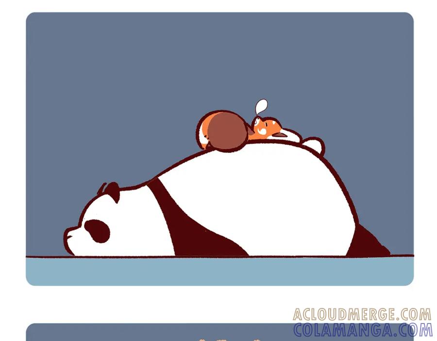 《胖达x胖达》第140话 第3页