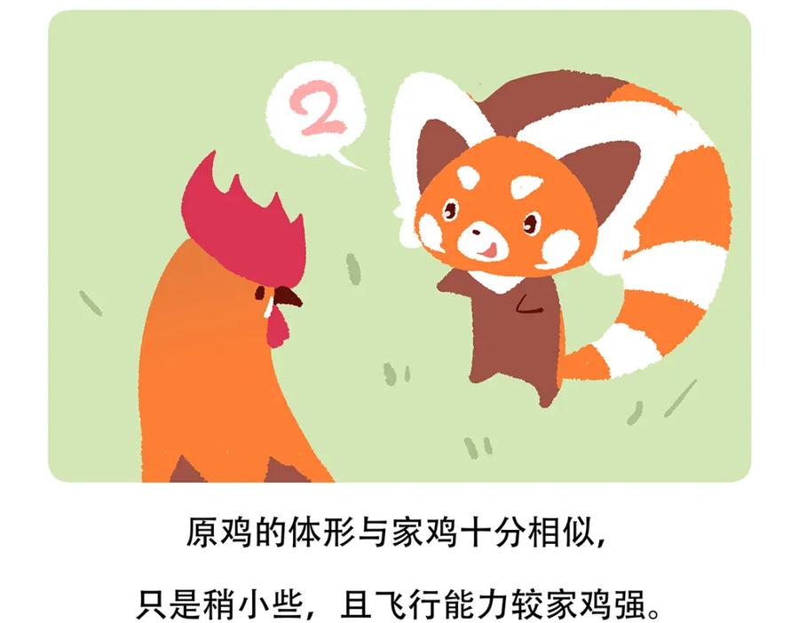 《胖达x胖达》第140话 第24页
