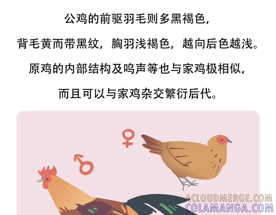 《胖达x胖达》第140话 第25页