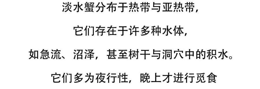 《胖达x胖达》第141话 第22页