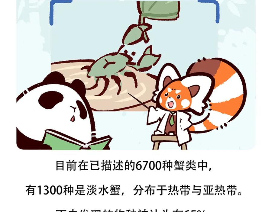 《胖达x胖达》第141话 第20页