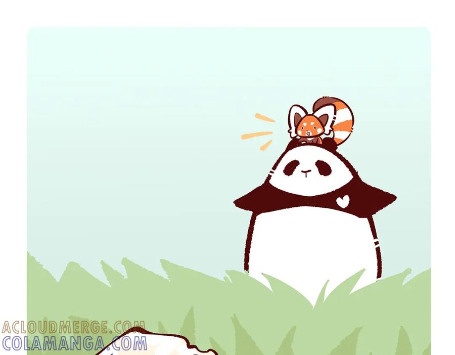 《胖达x胖达》第141话 第5页