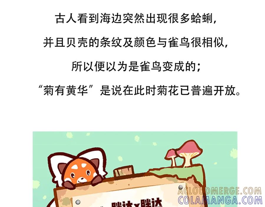 《胖达x胖达》第141话 第31页