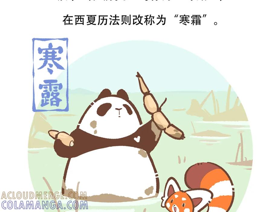 《胖达x胖达》第141话 第27页