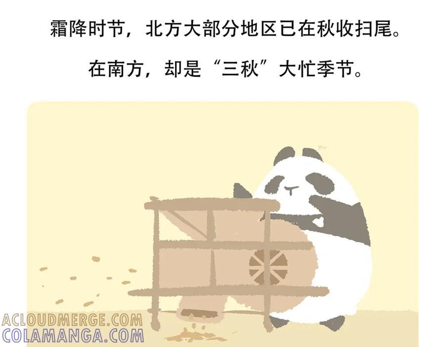 《胖达x胖达》第142话 第31页
