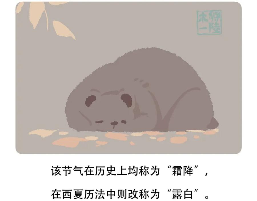 《胖达x胖达》第142话 第30页