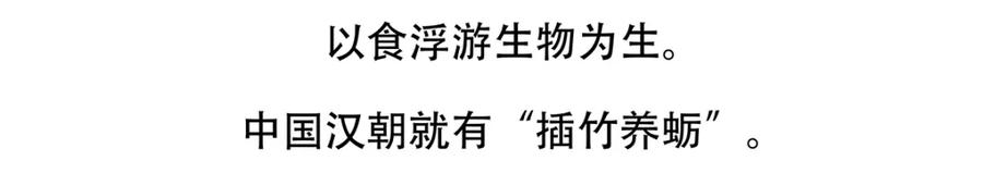 《胖达x胖达》第142话 第22页