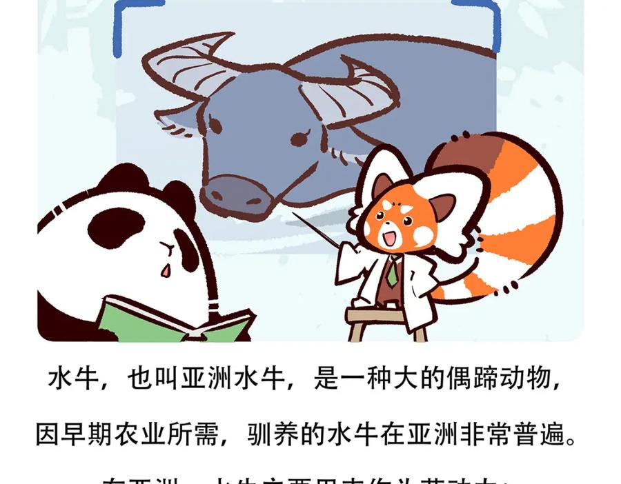 《胖达x胖达》第143话 第20页