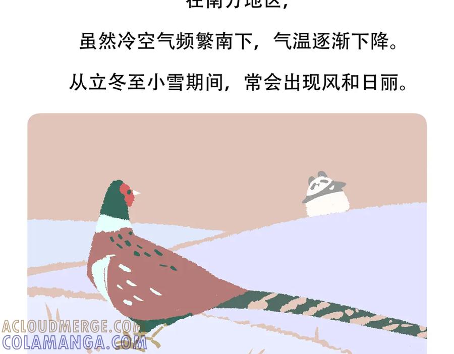 《胖达x胖达》第143话 第31页