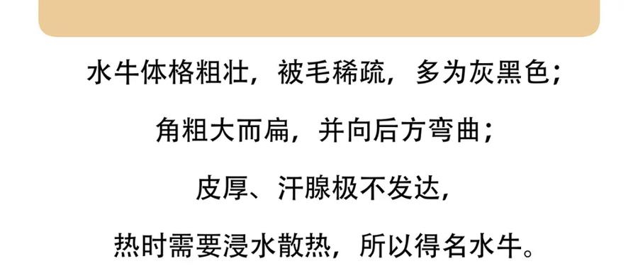 《胖达x胖达》第143话 第22页
