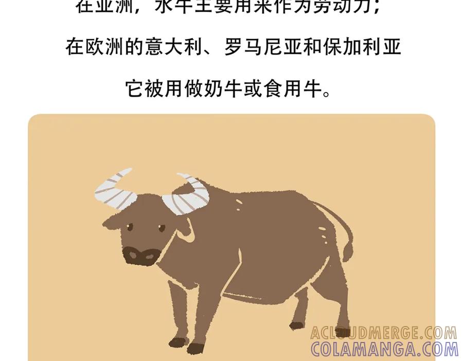 《胖达x胖达》第143话 第21页
