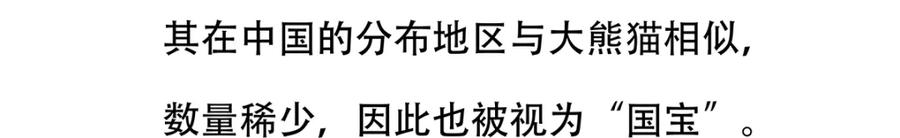 《胖达x胖达》第144话 第22页