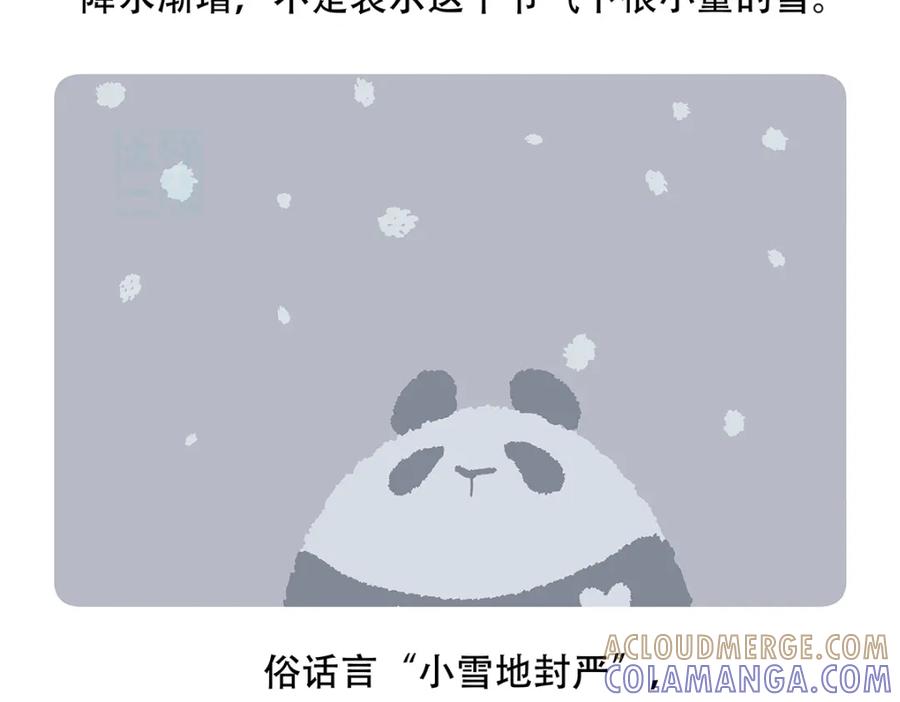 《胖达x胖达》第144话 第29页