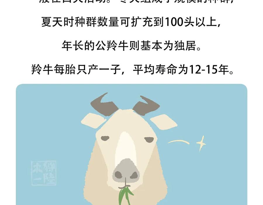 《胖达x胖达》第144话 第24页