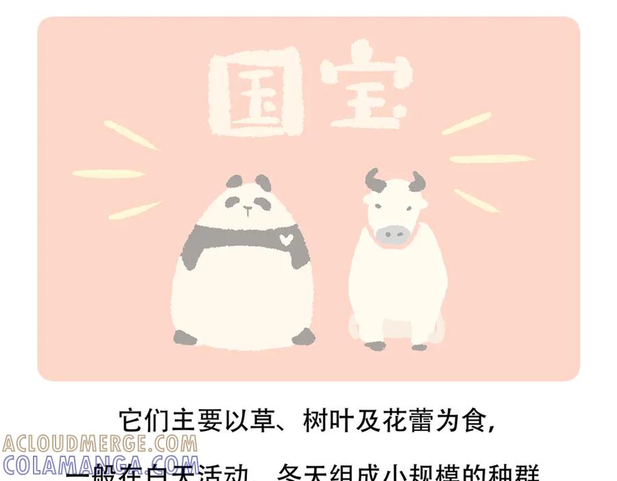 《胖达x胖达》第144话 第23页