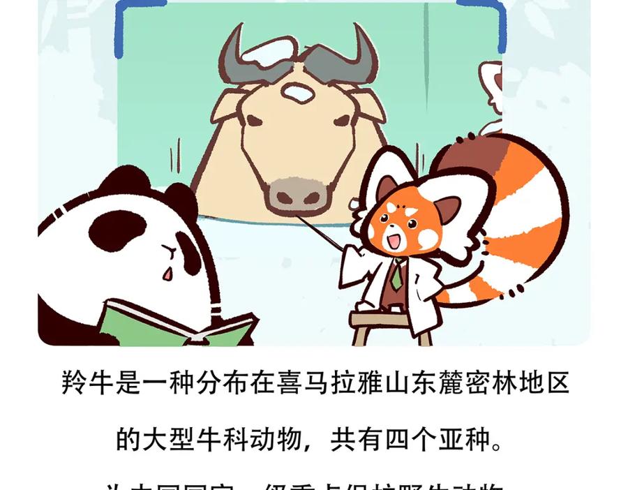 《胖达x胖达》第144话 第20页
