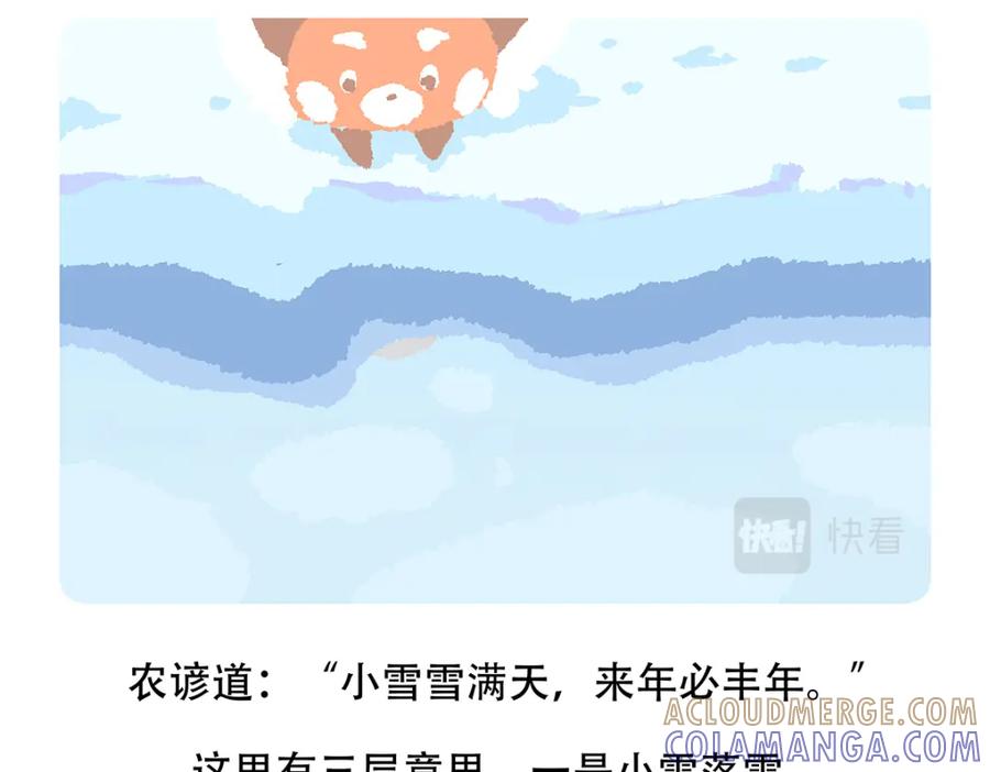 《胖达x胖达》第144话 第31页