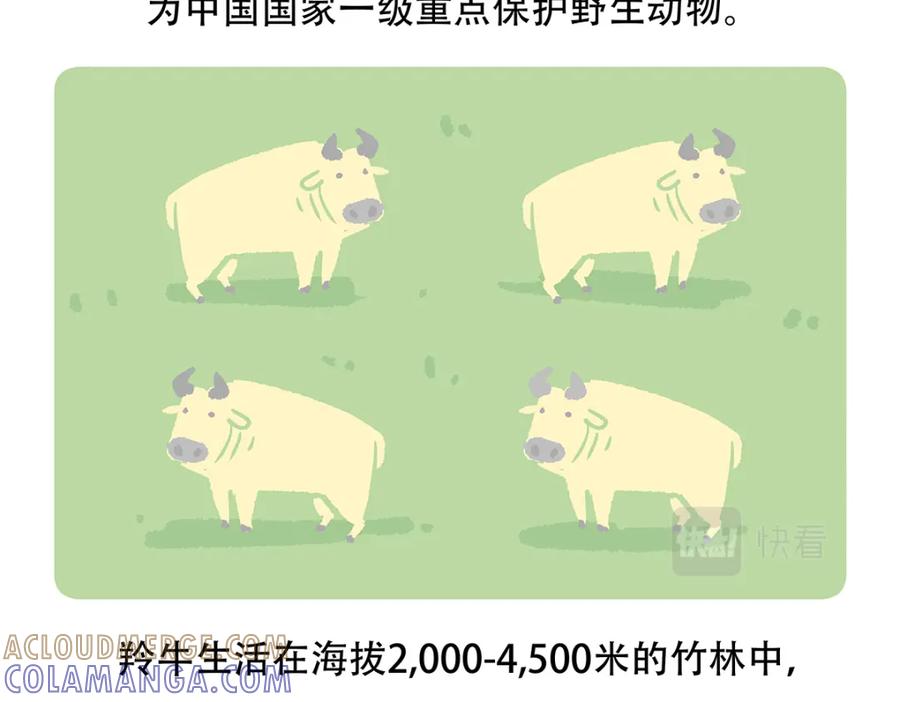 《胖达x胖达》第144话 第21页