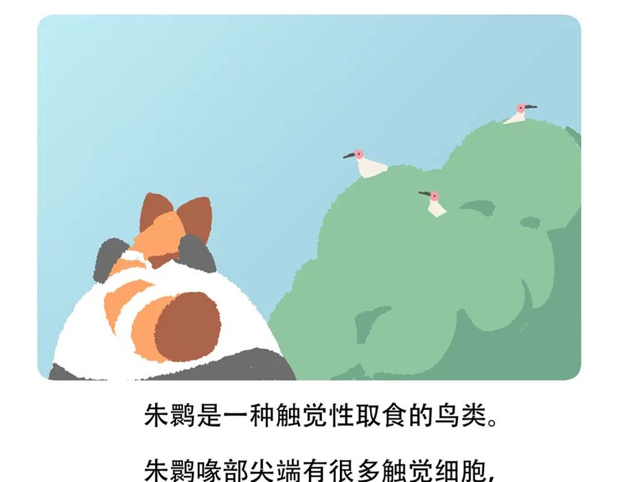 《胖达x胖达》第145话 第24页