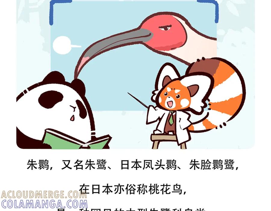 《胖达x胖达》第145话 第21页