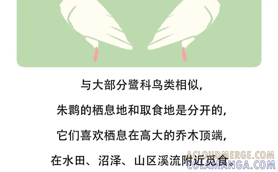 《胖达x胖达》第145话 第23页
