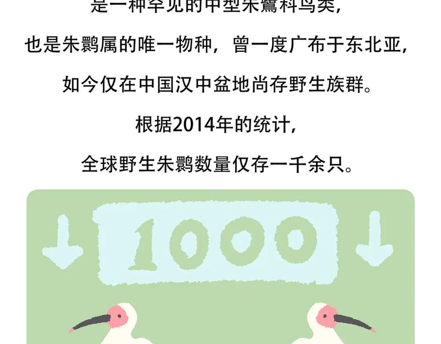 《胖达x胖达》第145话 第22页