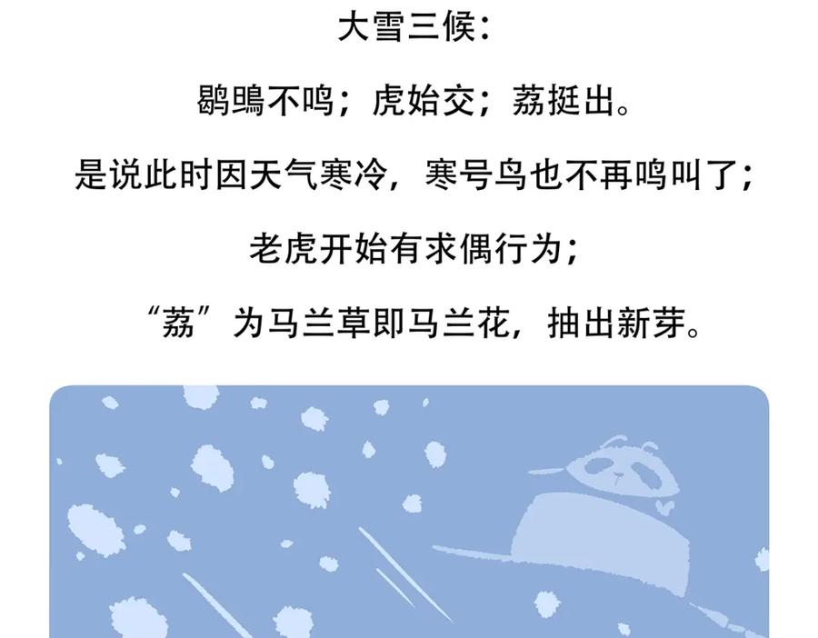 《胖达x胖达》第145话 第32页