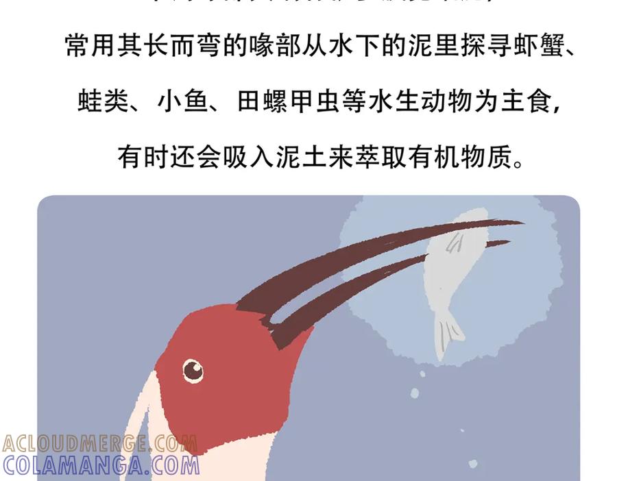 《胖达x胖达》第145话 第25页