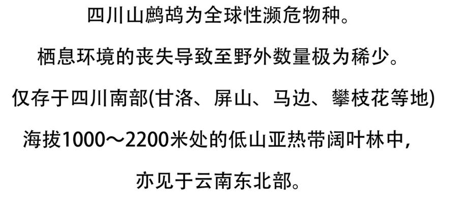 《胖达x胖达》第146话 第22页