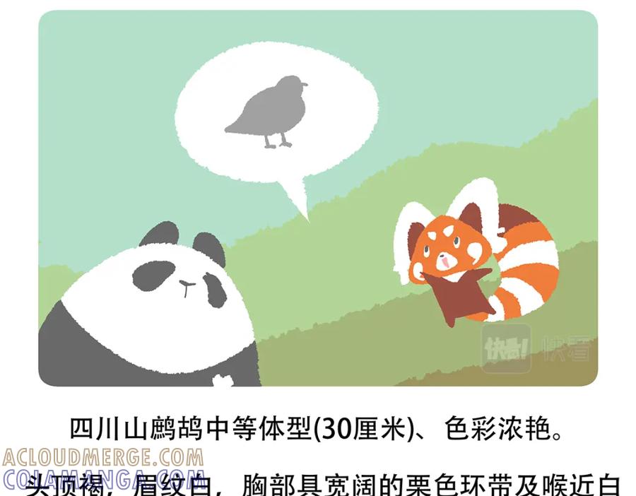 《胖达x胖达》第146话 第23页