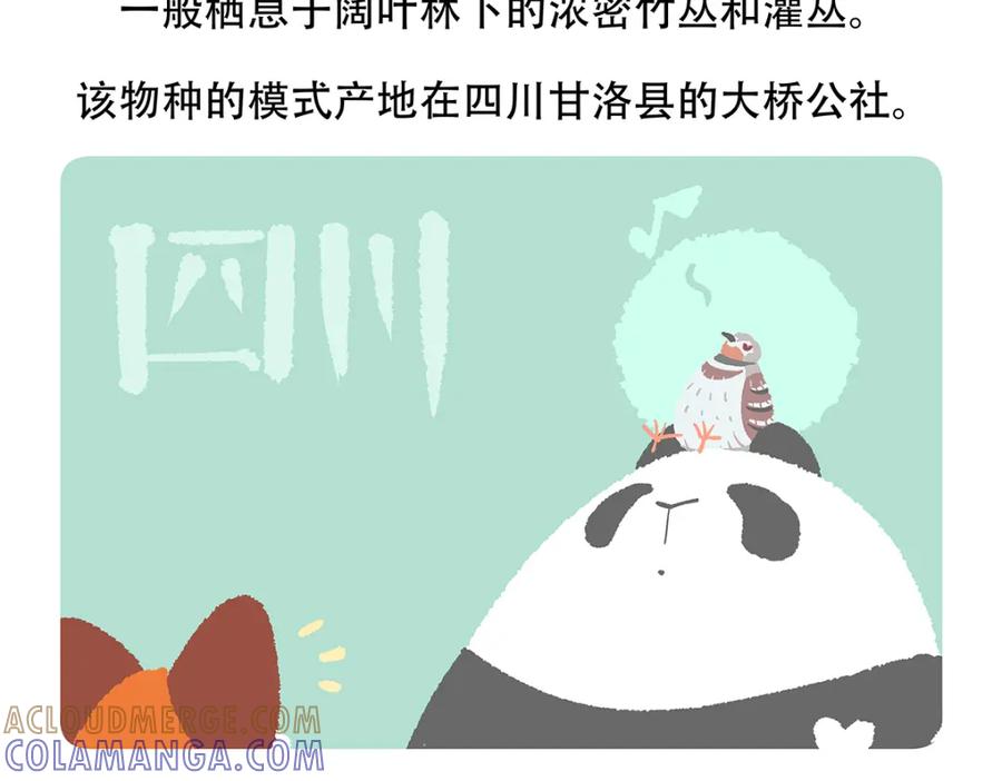 《胖达x胖达》第146话 第21页