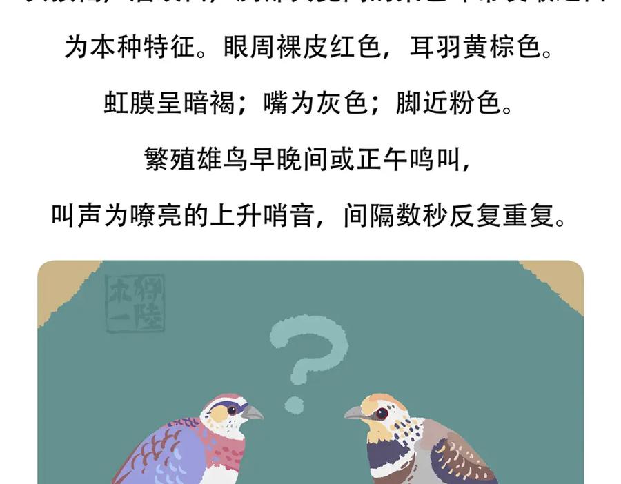 《胖达x胖达》第146话 第24页