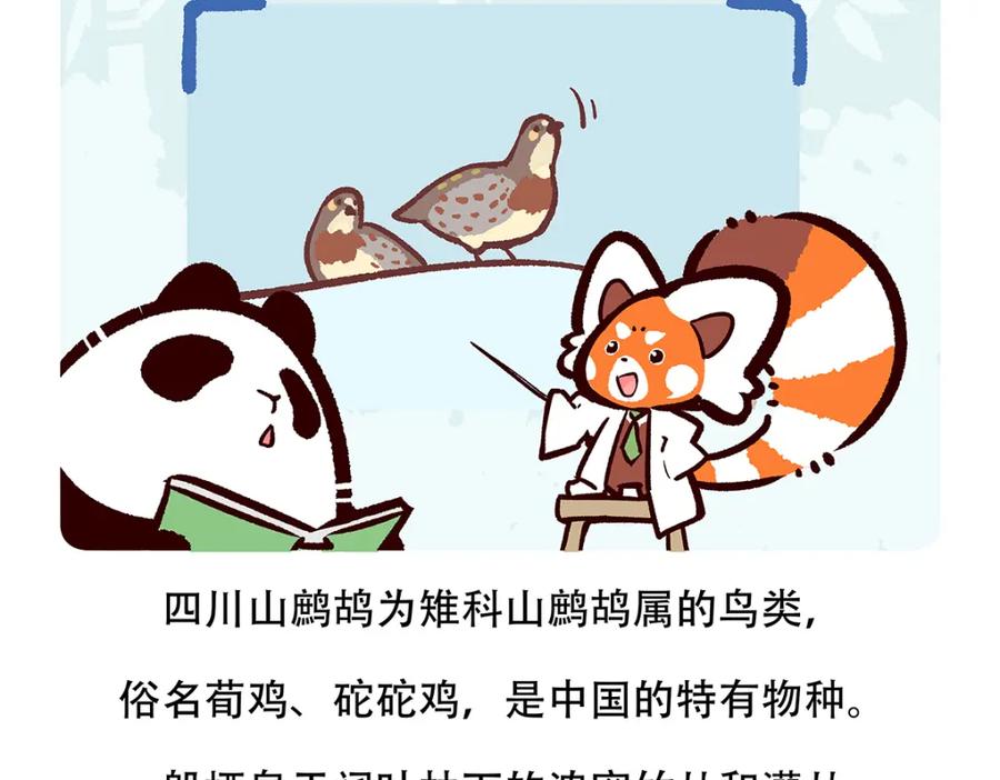 《胖达x胖达》第146话 第20页