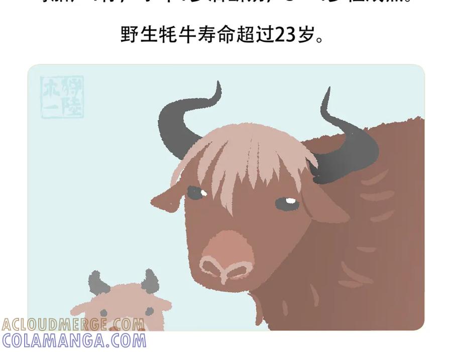 《胖达x胖达》第147话 第25页
